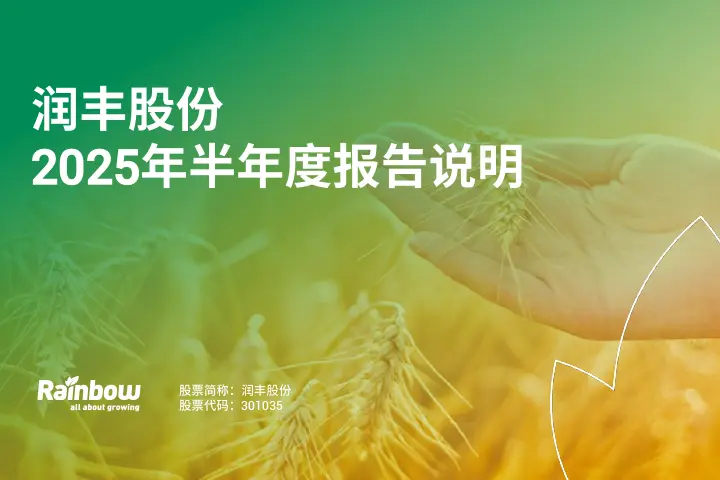2025年半年度